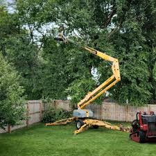 Best Weed Control  in San Jacinto, CA